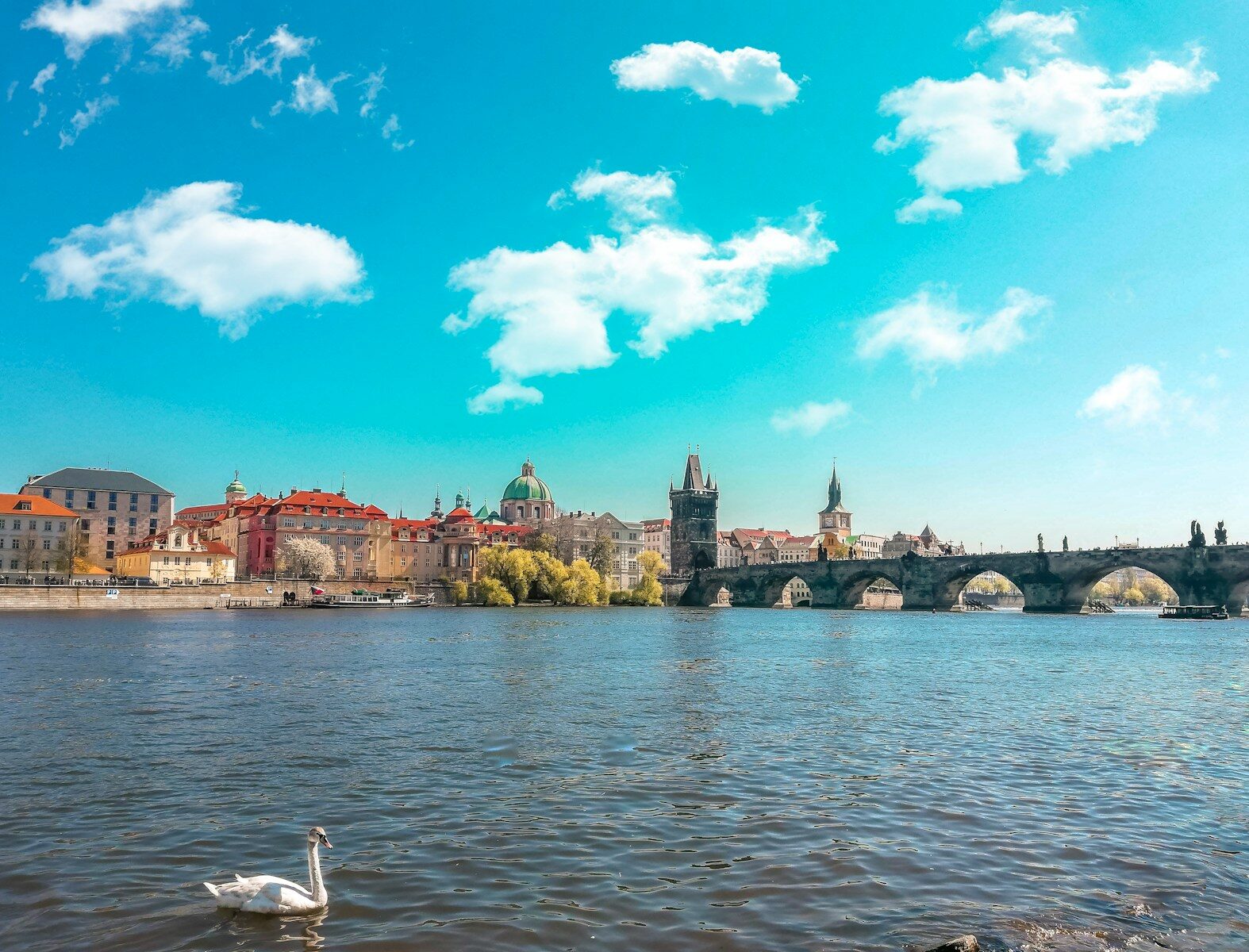 landscape photography of bridge leading to a city